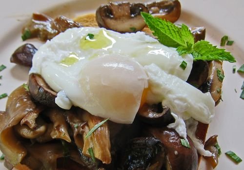 Mushroom Ragout Poached Egg 05