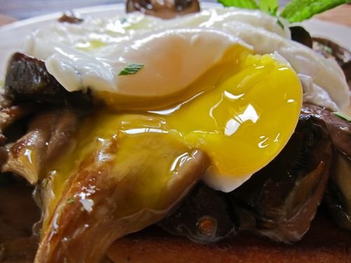 Mushroom Ragout Poached Egg 06
