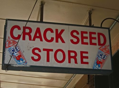 Vacation 2010 03 575