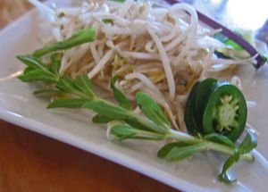 Pho Mignon Rev04