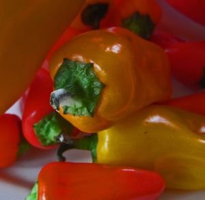 Peperonata 02