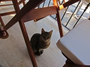 Vacation 2011 02 667