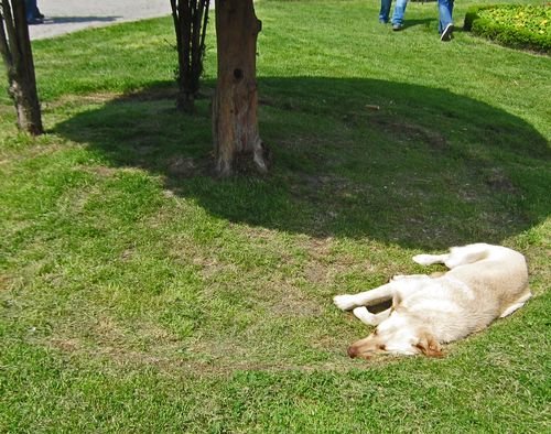 Vacation 2011 02 1020