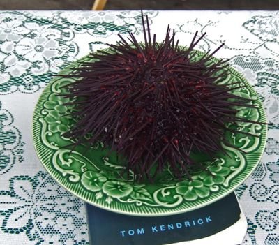 Uni-licious03