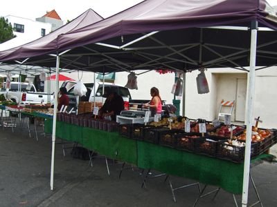 LittleItalyF01