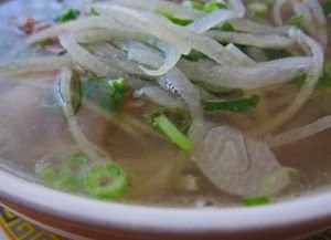 PhuongTrangPhoRev 02