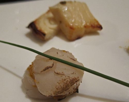 Akinori 11