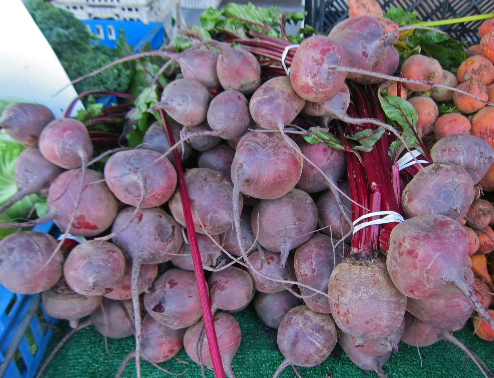 01202013 233 01202013 233