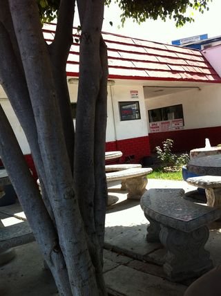 IMG_5979