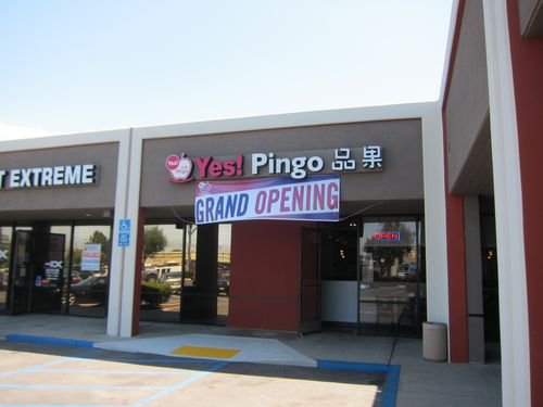 Yes Pingo 01