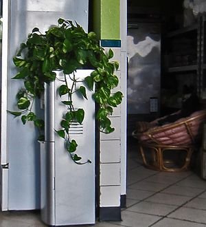 Tu Thanh 03