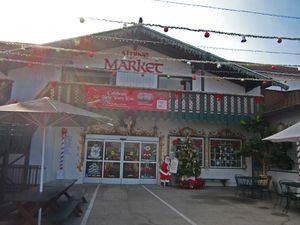 Alpine Village 02