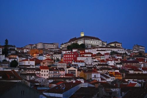 06082013 D60 330