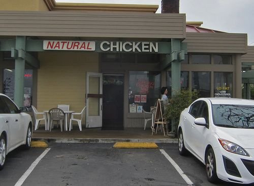 Natural Chicken 01