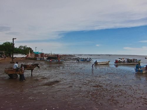 Mexico - Ciudad Obregon 2013 104