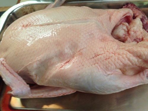 Duck Fat Rules 01