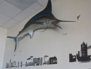 Mr Fish Rev 06