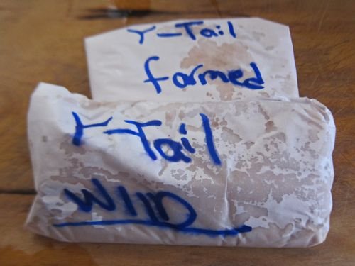 Wild versus mild 01