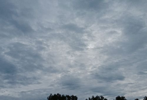 IMG_6010