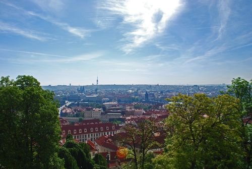 05312014 D60 358