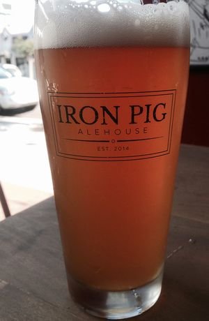 Iron Pig 07
