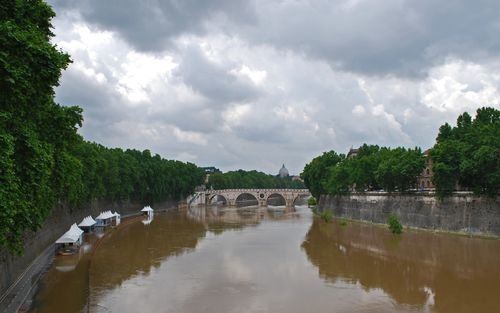 06082013 D60 990