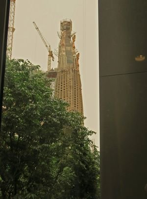 IMG_0290
