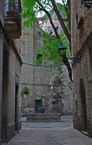 06072015 D60 077