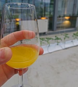 06072015 811