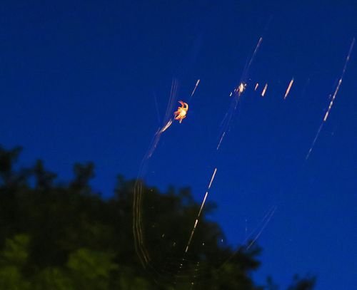 08082015 013_edited-1