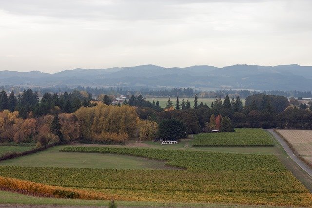 IMG_2004aa IMG_2004aa