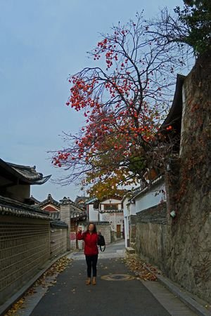 IMG_4190