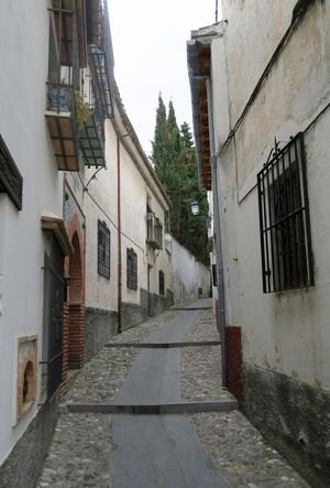 IMG_6814