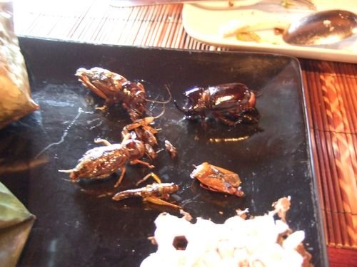 Vacation2008ThaiLaos03 641