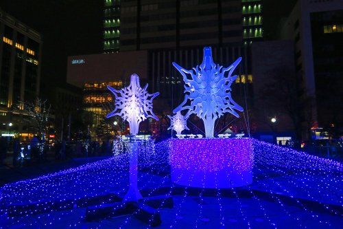 IMG_4873