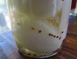 Pickled Eggs 02