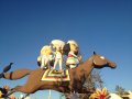 IMG_1911