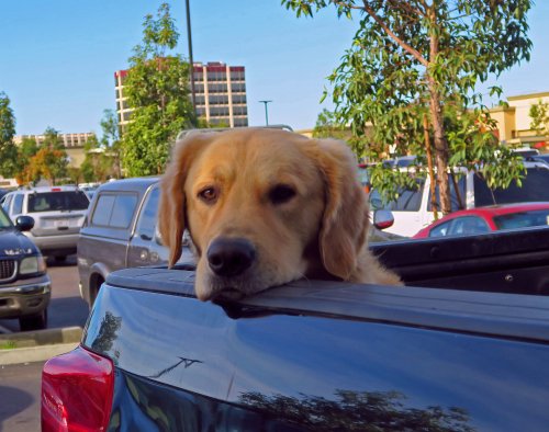 Faithfully Waiting Faithfully Waiting