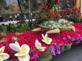 IMG_1058
