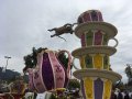 IMG_1190