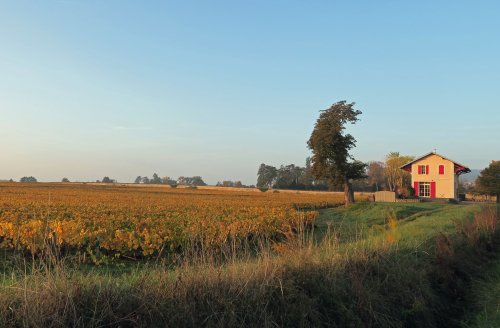 IMG_1431