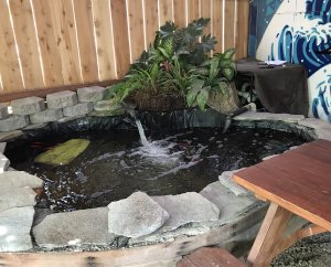 The Lanai 12