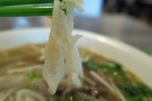 Pho 7 Cow 12