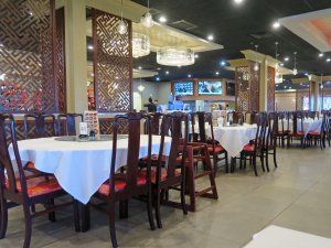 Fung Fung Yuen 15
