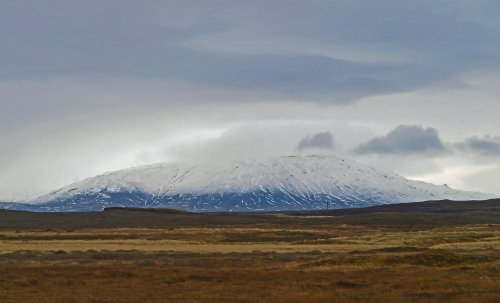 IMG_2104