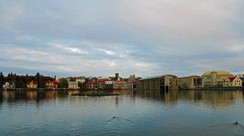 IMG_2166