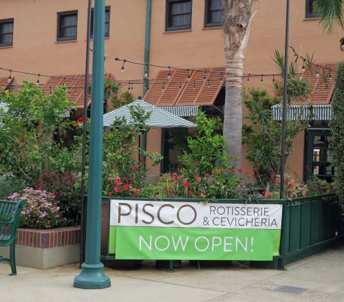 Pisco 01
