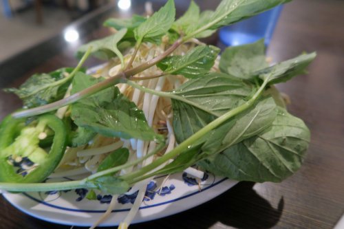 Ginger Pho 08