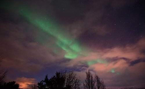 IMG_2435