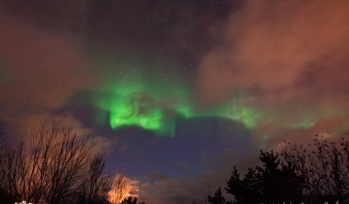 IMG_2437